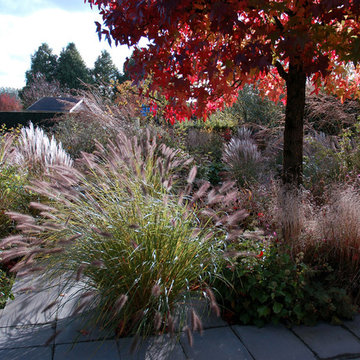 The Inclusive Garden, October 2013