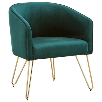 Auxier Gold Finish Velvet Accent Chair, Blue, Green