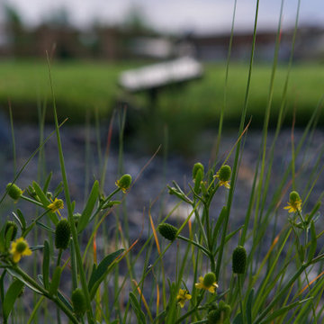 Duke's Landscape