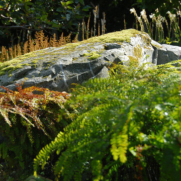 Oasis in the Woods - Charlotte, VT