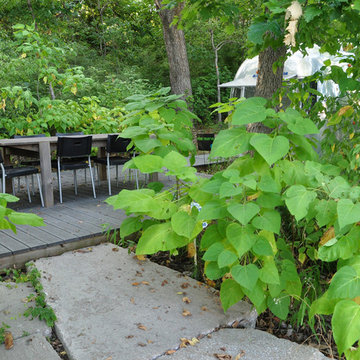 Garden Dialogues: The Dallas Urban Reserve