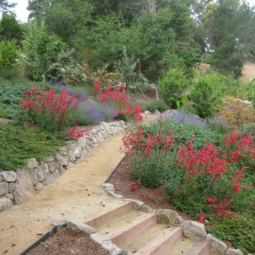 Decomposed Granite Path through Hillside Garden