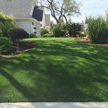 Traditional Front Yard in Central California