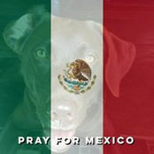 Brandy Nortino's photo