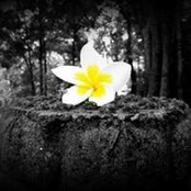 Foto von Thaï Dleng