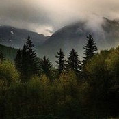 Stephen Klinger's photo
