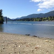 Scottie McGee's photo