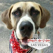 Tina Allen's photo