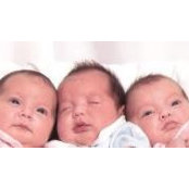 Tracy Carpenter's photo