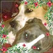 Sarah Johnson's photo