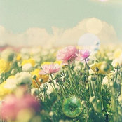 rie's photo