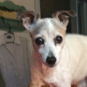 Lorraine Reidda's photo