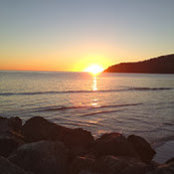 Sally paxton's photo
