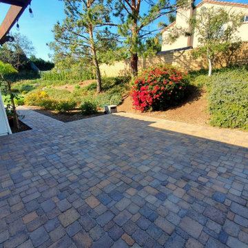 Driveway/Front yard Remodel