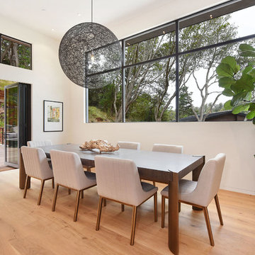 Glass + Timber Mill Valley Contemporary