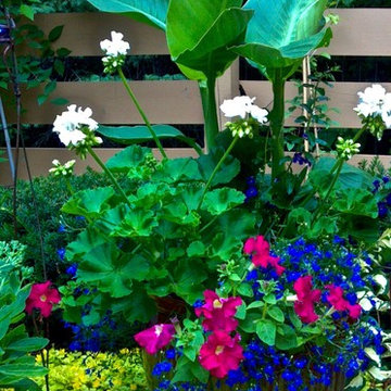 Softscape (Flowers, Flower beds and more)