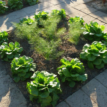 Giardino formale classico