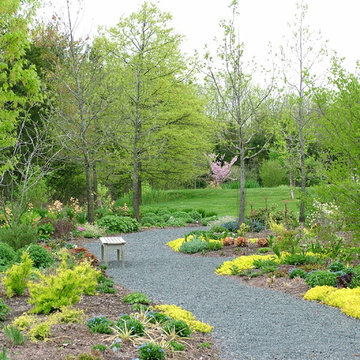 Deer Resistant Garden