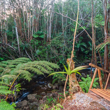 Polynesian Development Renovation