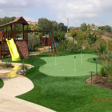 Landscape Ideas