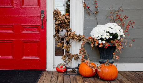 We Want to See Your Creative Fall Container Gardens!