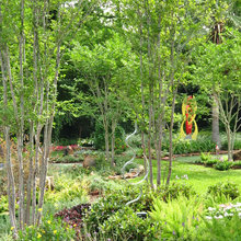 Landscape Ideas