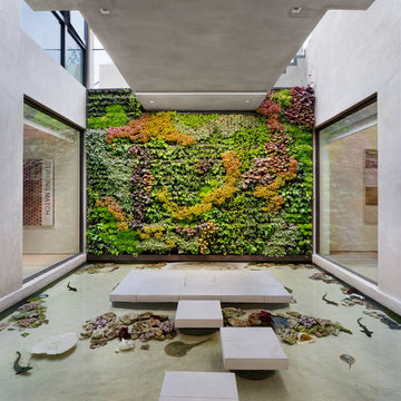 Swallow Residence