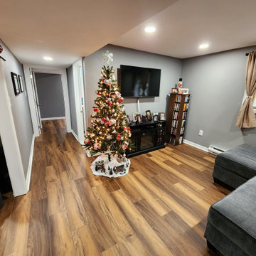 Basement Finish with bathroom