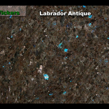Labrador Antique
