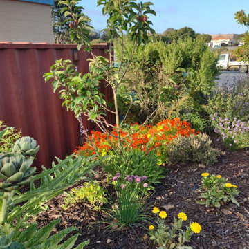 Edible Gardens