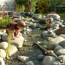 Zone 5 Landscaping
