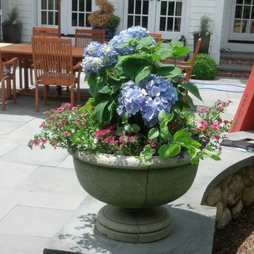 Summer Container