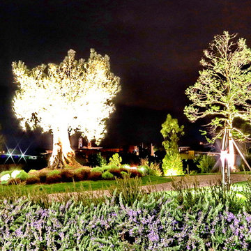 Tenuta "Il Monte" - "Il Monte" estate | Esterni - Landscape lighting | 7.000 MQ