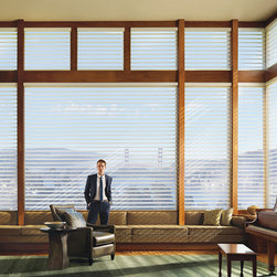 Hunter Douglas Shades - Window Blinds