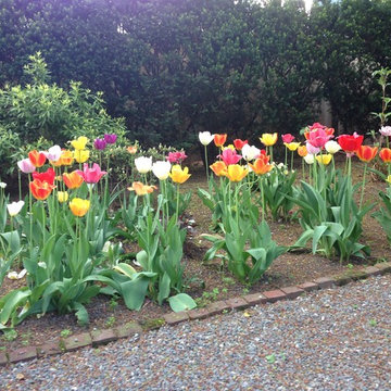 spring flowers