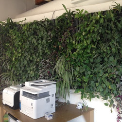 Omni Living Wall - Products