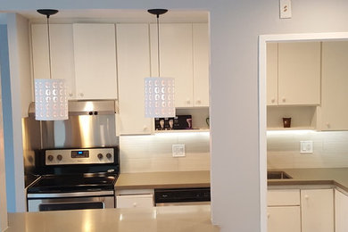 Example of a minimalist kitchen design in San Francisco