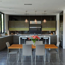 Kitchen Inspiration - Modern / Contemporary