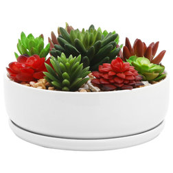 Contemporary Indoor Pots And Planters by MyGift