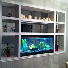 Tami fish tank
