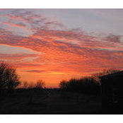 Carol Nowacki's photo