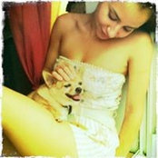 Catherine Hernandez's photo
