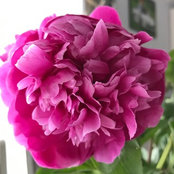 Svetlana Rozhik's photo