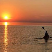 Susan Strieter's photo
