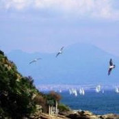 H Cathleen Carbonaro's photo