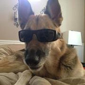 Matt Leatherman's photo