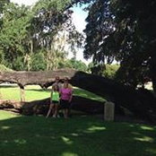Michelle Phillips Kellam's photo