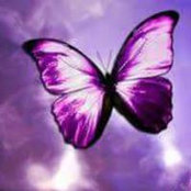 Nadia Ferri's photo