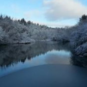 Shari Wilson's photo