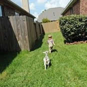 Molly Miller Baker's photo